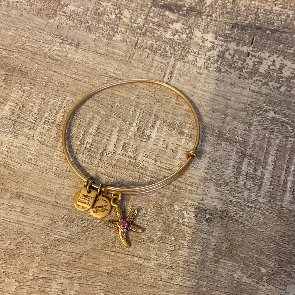 Alex and ani bracelet